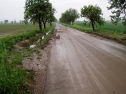 silnice od Dobruky (rok 2005)