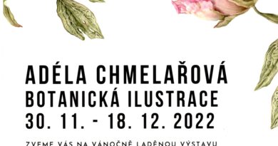 Výstava Adély Chmelařové v Bohuslavicích